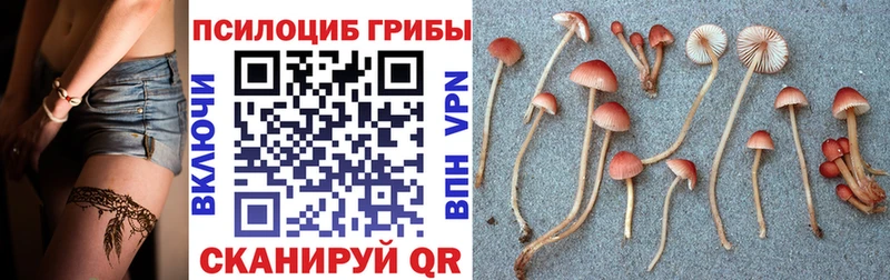 Купить закладки  Палласовка  Псилоцибиновые грибы мухоморы 